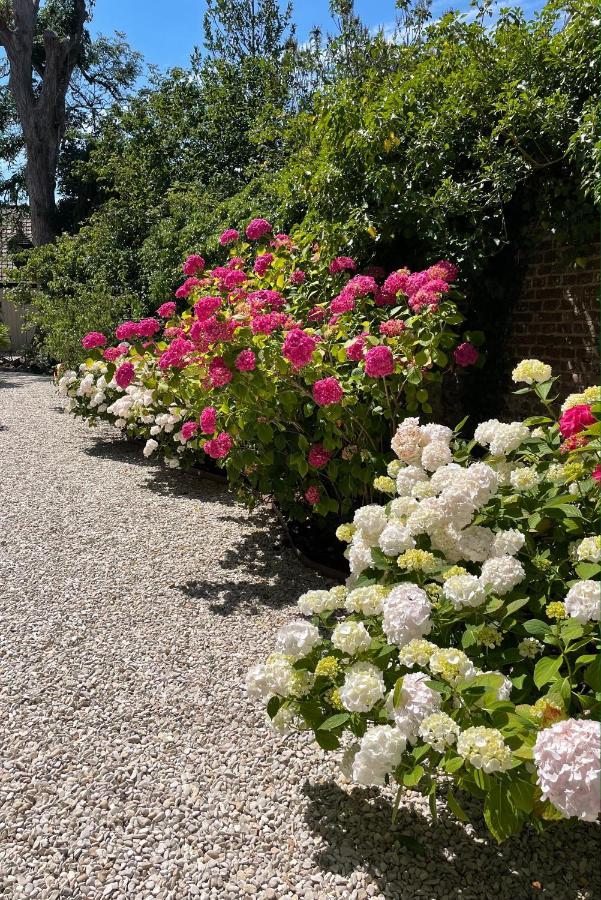 Bed and Breakfast Aux Remparts De Montreuil Montreuil  Esterno foto